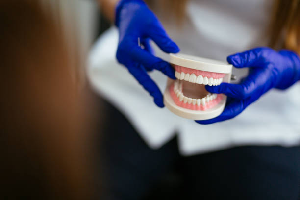 Professional Holistic Dental Care Services in Fair Grove, MO